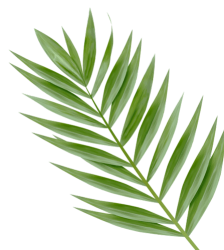 img_3.png